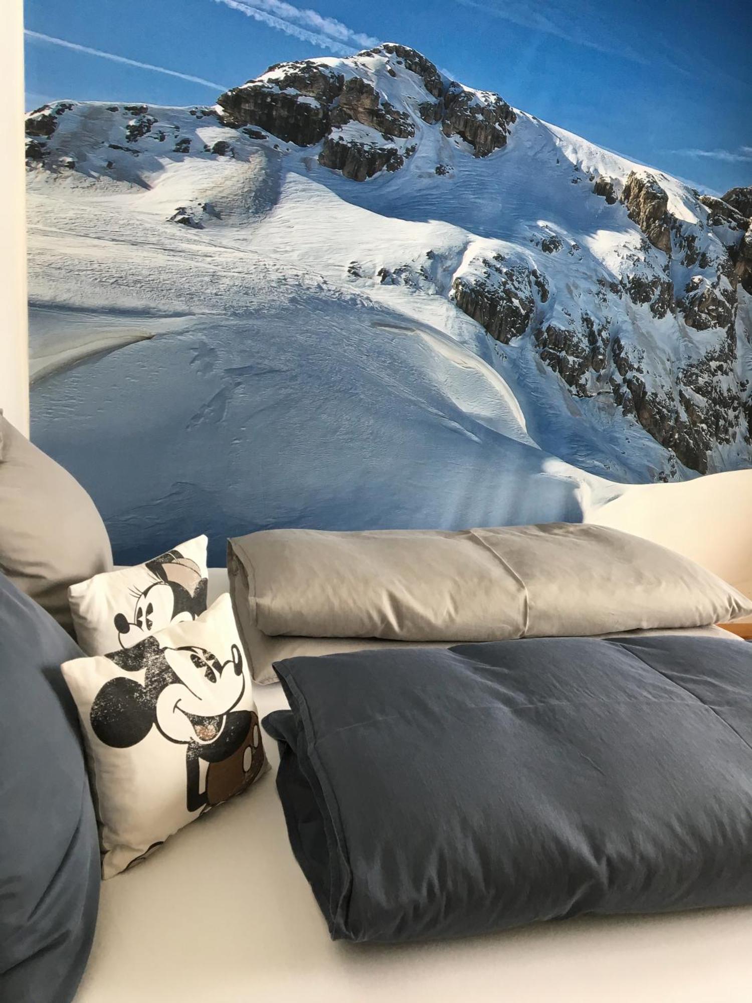Alpin Appartement Reinhard Tritscher Ramsau am Dachstein Εξωτερικό φωτογραφία
